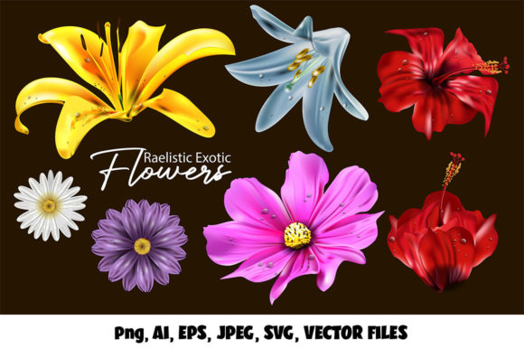 Realistic Exotic 3d Flowers Vector Set